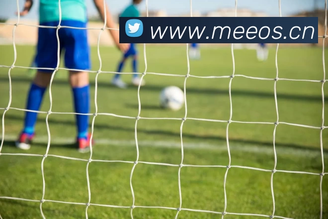 BOB半岛·(中国)体育官方网站 - BOB SPORTS服务体系